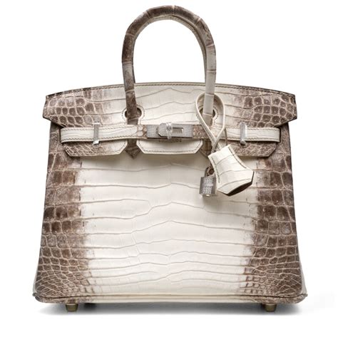 Hermes crocodile price